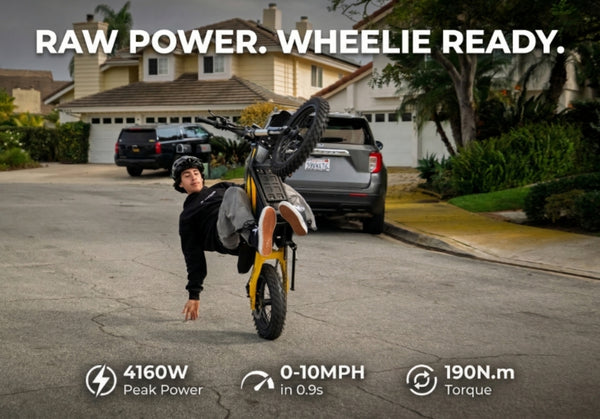 Heybike Villian Electric Dirt Bike